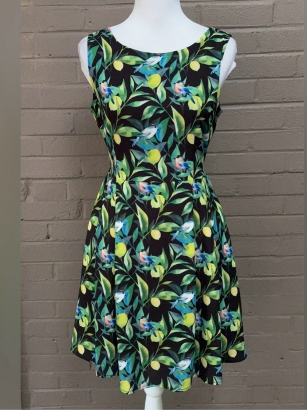 LA Soul bird & lemon tree print dress L